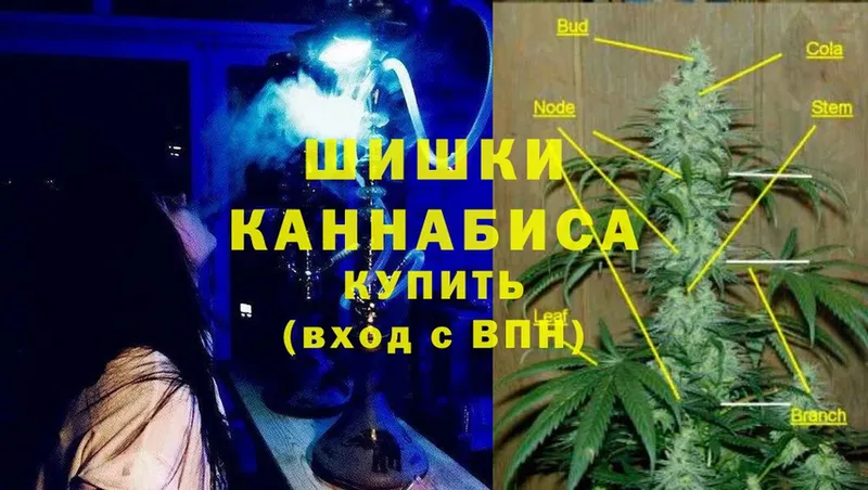 Бошки марихуана OG Kush  Дальнереченск 